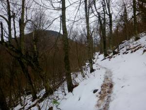 2016-10-29 10.03.30 1