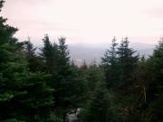 2016-10-29 10.03.32 1