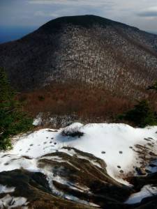 2016-10-29 10.03.35 1