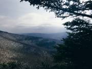 2016-10-29 10.03.38 1