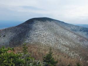 2016-10-29 10.03.41 1