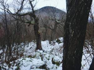 2016-10-29 10.03.50 1