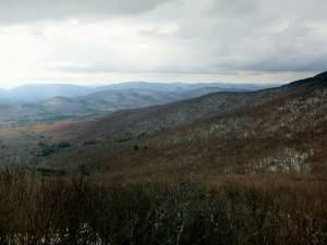 2016-10-29 10.03.55 1