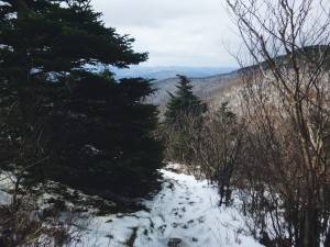 2016-10-29 10.04.09 1