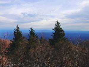 2016-10-29 10.04.13 1