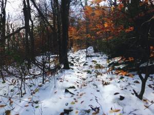 2016-10-29 10.04.17 1