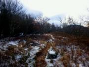 2016-10-29 10.04.22 1