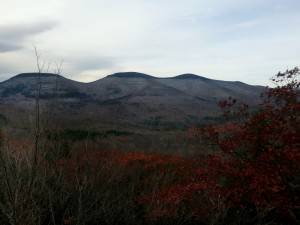 2016-10-29 10.04.23 1