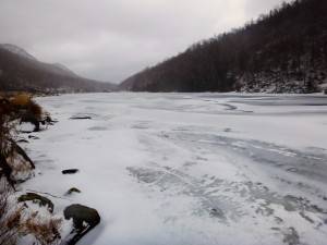 2016-02-22 08.11.51 1