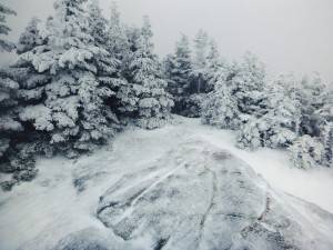 2016-02-22 08.11.54 1