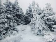 2016-02-22 08.11.57 1