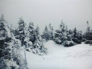 2016-02-22 08.12.02 1