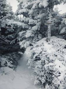 2016-02-22 08.12.07 1