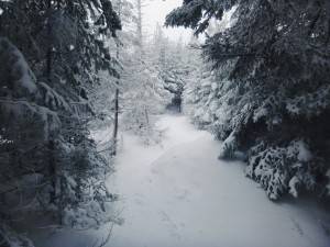 2016-02-22 08.12.11 1