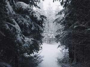 2016-02-22 08.12.14 1