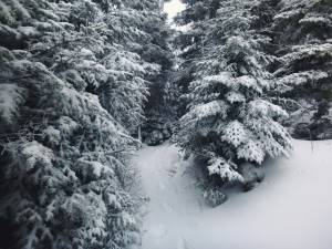 2016-02-22 08.12.18 1