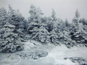 2016-02-22 08.12.22 1