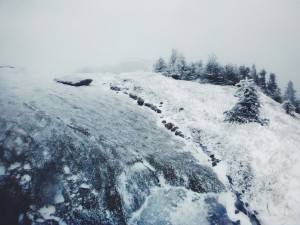 2016-02-22 08.12.24 1