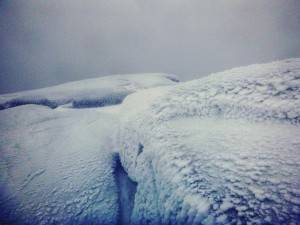 2016-02-22 08.12.33 1