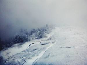 2016-02-22 08.12.42 1