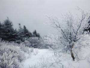 2016-02-22 08.12.50 1