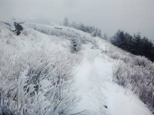 2016-02-22 08.12.55 1