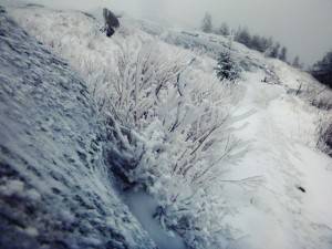 2016-02-22 08.13.00 1