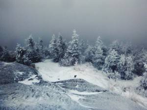 2016-02-22 08.13.13 1