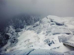 2016-02-22 08.13.17 1