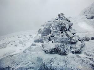 2016-02-22 08.13.26 1