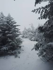 2016-02-22 08.13.44 1