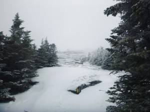 2016-02-22 08.13.50 1