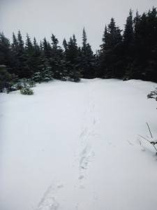 2016-02-22 08.13.53 1