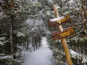 2016-02-22 08.13.58 1