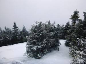 2016-02-22 08.14.01 1