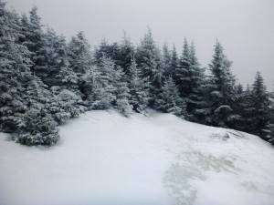 2016-02-22 08.14.05 1