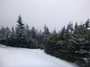 2016-02-22 08.14.08 1