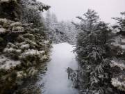 2016-02-22 08.14.13 1