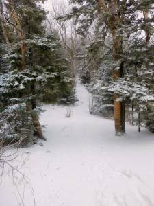 2016-02-22 08.14.19 1