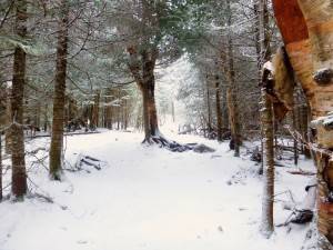 2016-02-22 08.14.24 1