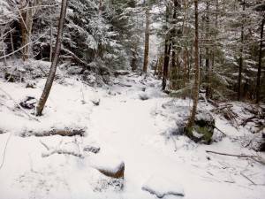 2016-02-22 08.14.27 1