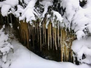 2016-01-18 07.02.01 1