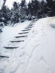 2016-01-18 07.02.05 1