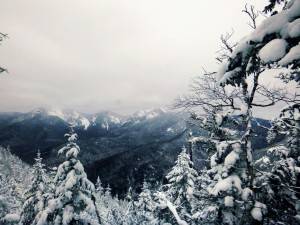 2016-01-18 07.02.09 1