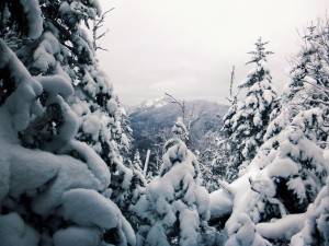 2016-01-18 07.02.12 1