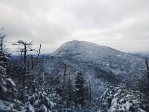 2016-01-18 07.02.15 1