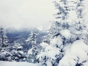 2016-01-18 07.02.20 1