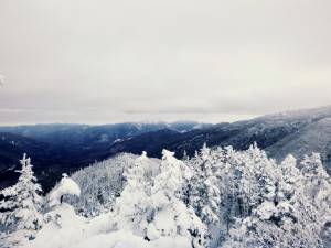 2016-01-18 07.02.24 1