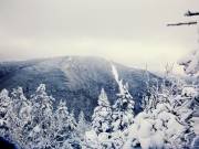 2016-01-18 07.02.27 1