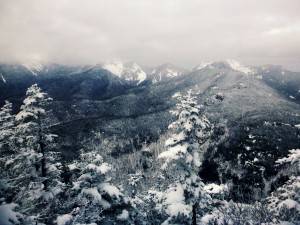 2016-01-18 07.02.31 1